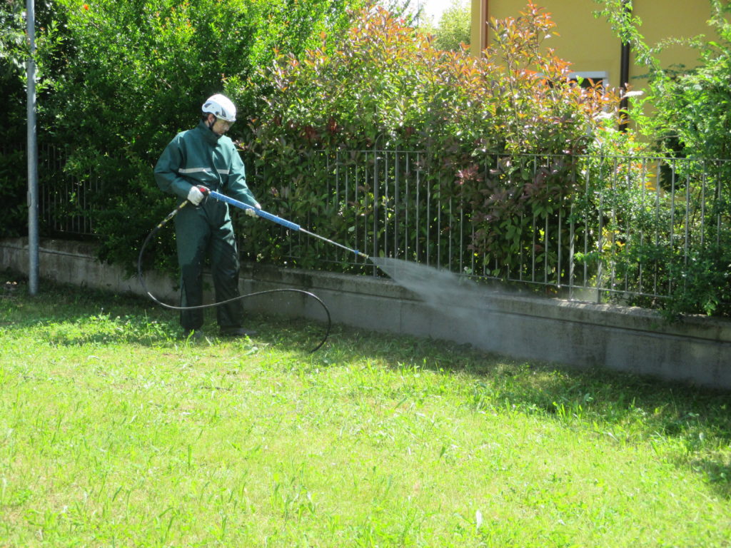 <h3>Pulizia muretti e recinzioni, che fare?</h3>