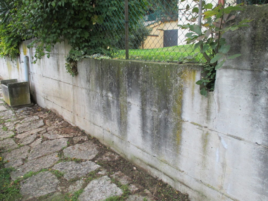 Muro cemento grezzo 4
