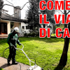 Come pulire il vialetto di casa