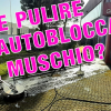 Come pulire gli autobloccanti dal muschio